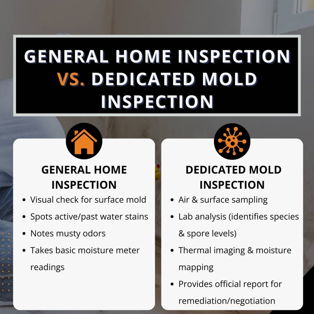 A side-by-side comparison graphic outlining the differences between a general home inspection, which focuses on visual checks and basic moisture readings, and a dedicated mold inspection, which includes air sampling, lab analysis, and thermal imaging.