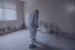 An inspector wearing a white protective suit examines an empty residential room with extensive dark mold growth along the lower sections of the walls.