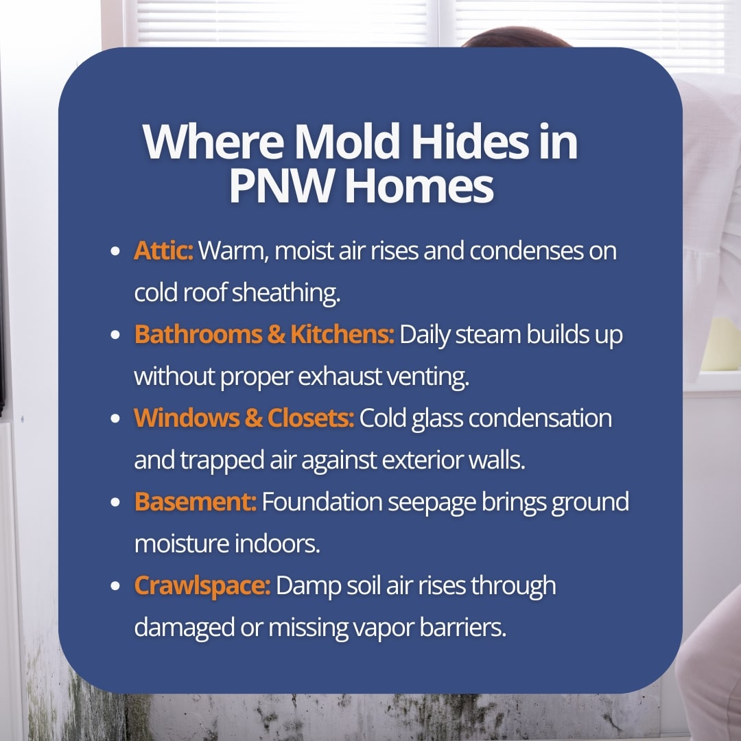 An infographic titled "Where Mold Hides in PNW Homes" lists common household moisture spots including attics, bathrooms, windows, basements, and crawlspaces.