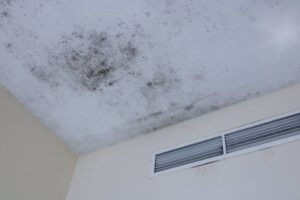 Dark mold growth and moisture stains spread across a white ceiling next to a wall air vent.