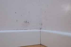 Dark mold spots growing in the corner of a textured white wall just above a white baseboard.
